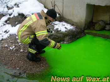 Newsbild