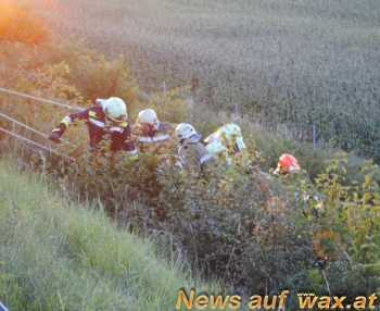 wax.at News
