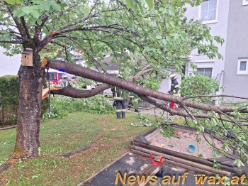 wax.at News