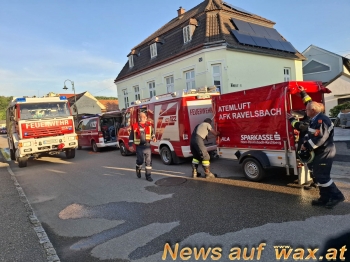 wax.at News