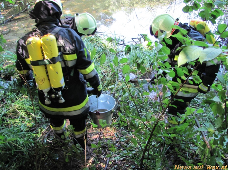 wax.AT Das Portal für Feuerwehr und Rettungsdienst Undefinierbarer