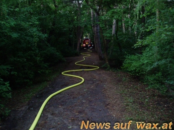 wax.at News