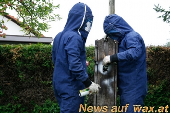 wax.at News