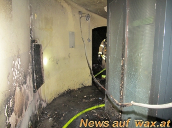 wax.at News