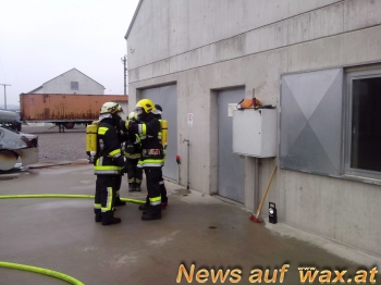 wax.at News