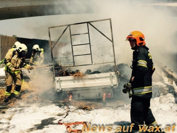 wax.at News