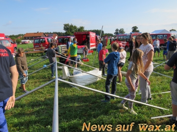 wax.at News