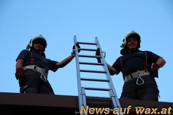 wax.at News