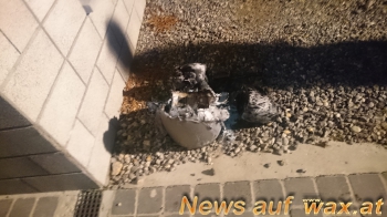 wax.at News
