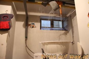 wax.at News