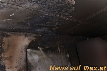 wax.at News