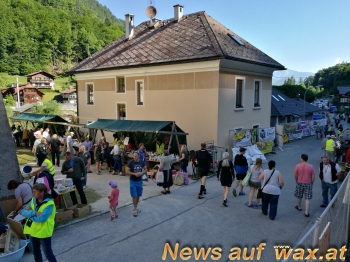 wax.at News