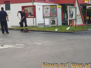 wax.at News