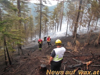 wax.at News