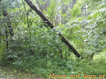 wax.at News