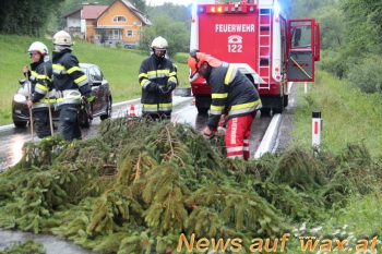 wax.at News