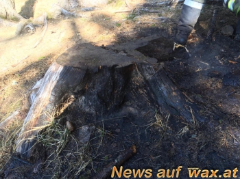 wax.at News