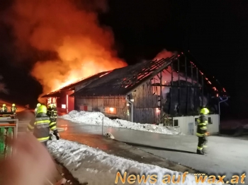 wax.at News