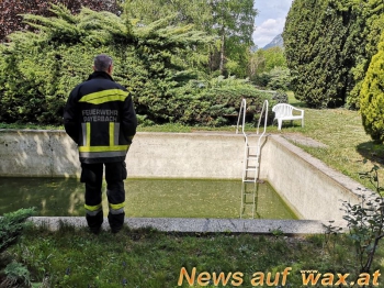 wax.at News