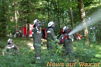wax.at News