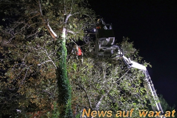 wax.at News