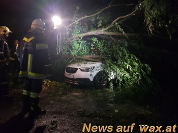 wax.at News