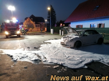 wax.at News