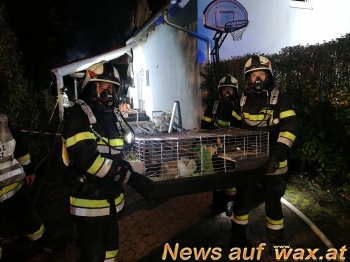 wax.at News