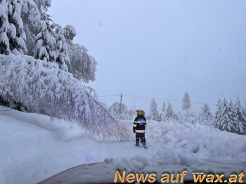 wax.at News