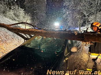 wax.at News
