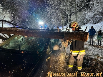 wax.at News