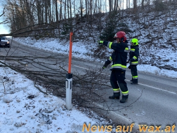 wax.at News