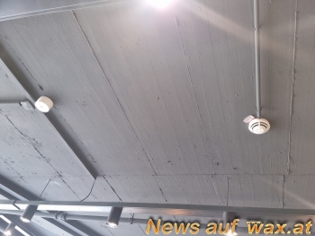 wax.at News