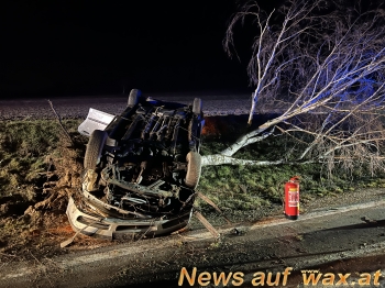 wax.at News