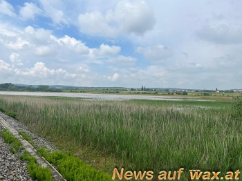 wax.at News