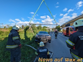 wax.at News
