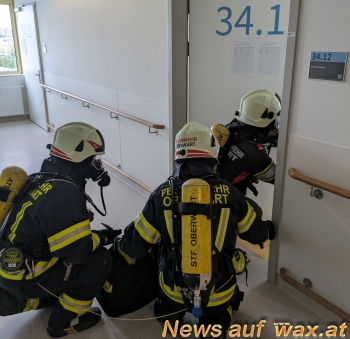 wax.at News
