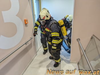 wax.at News