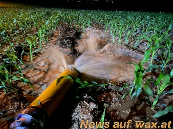wax.at News