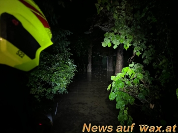 wax.at News