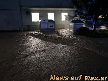 wax.at News