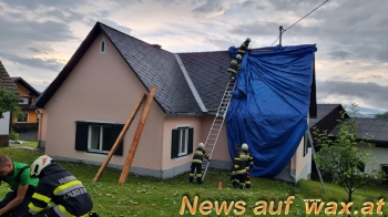 wax.at News