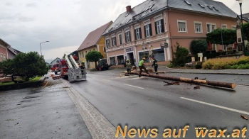 wax.at News