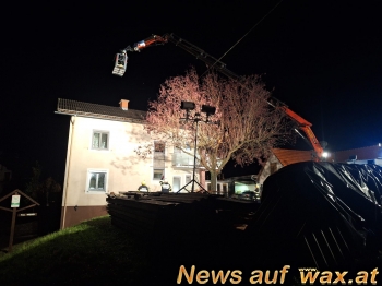 wax.at News
