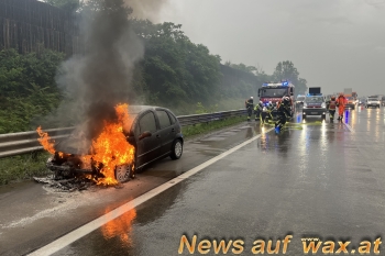 wax.at News