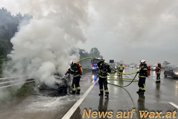 wax.at News