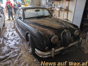 wax.at News