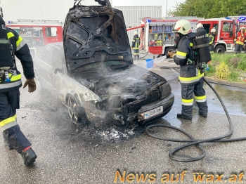 wax.at News