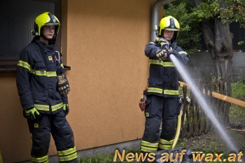 wax.at News