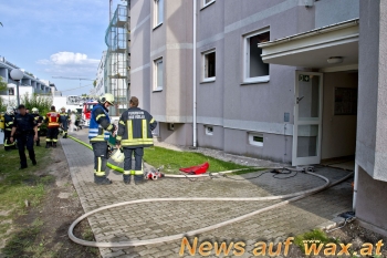 wax.at News